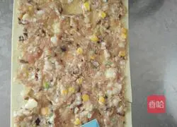 Dry tofu (thousand sheets) rolled with minced meat Practice illustration 2