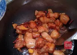 Braised Pork Recipe Illustration 6