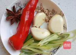 Braised Wings Illustration 3