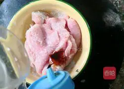 Illustration of homemade pork chop 5