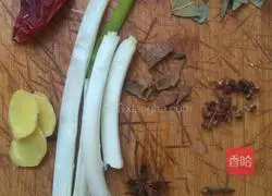 Illustration of braised pork bones 3