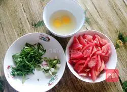 Illustration of how to make tomatoes and eggs 2