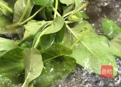 Illustration of how to make boiled chicken slices 6