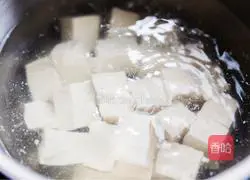 Illustration of Mapo Tofu Recipe 3