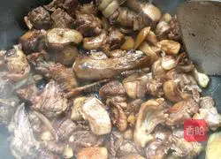 Chongyang Beer Duck Recipe Illustration 3