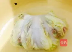 Illustration of how to make baby cabbage with rice 6