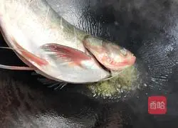 Braised silver carp recipe illustration 5