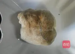 Illustration of how to make spiced beef 4