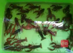 Illustration of how to make spicy crayfish 2