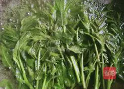 Illustration of how to make Chinese toon sprout omelette 3