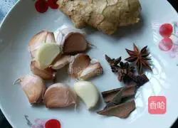 Illustration of Braised Pork Recipes 2