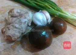 Lemon Duck Recipe Illustration 3