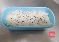 Illustration of braised pork rice bento 22