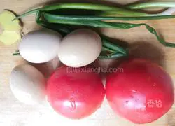 Illustration of home-cooked scrambled eggs with tomatoes 1