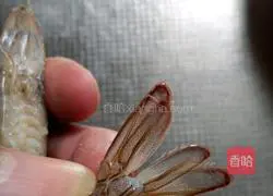 Illustration of braised prawns 2