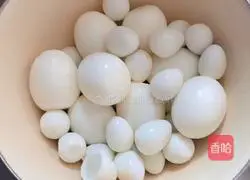 Illustration of braised quail eggs (eggs) 2