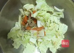 Illustration of how to cook cabbage and carrots 4