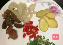 Harpy Duck Recipe Illustration 3