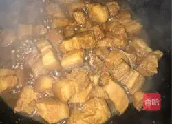 Illustration of home-cooked braised pork 14