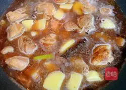 Illustration of chicken stewed with potatoes 3