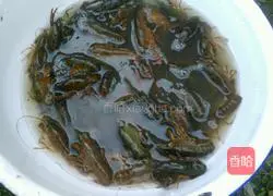 Illustration of how to make steamed crayfish 2
