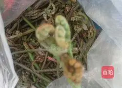 Illustration of how to make fried bracken and bacon 1