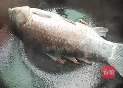 Burned whole fish (more than enough every year) Practice illustration 5