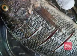 Braised Tilapia Recipe Illustration 3