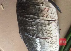 Illustration of how to make braised crucian carp 1