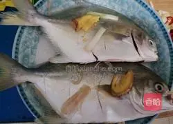 Illustration of braised golden pomfret 3