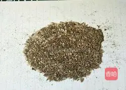 Illustration of grilled lamb chops 7