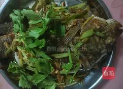 Illustration of Braised Tilapia 7