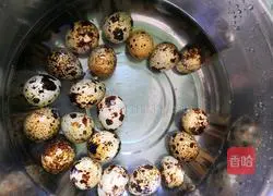 Illustration of how to make spiced quail eggs 2