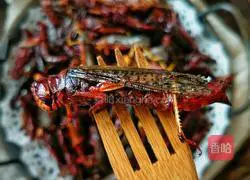 Illustration of how to make high-protein crispy fried grasshoppers 6