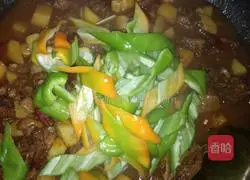 Illustration of the home version of braised chicken 14 