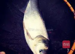 Illustration of braised fish cubes 1