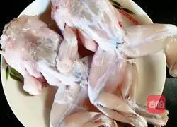 Illustration of how to make salt and pepper bullfrog 1