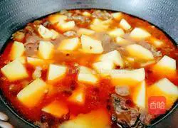 Illustration of how to cook turtle and potatoes 14