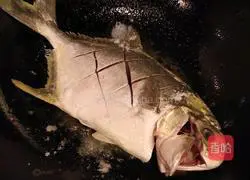 Illustration of Braised Jinchang Fish 2