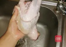 Harpy Duck Recipe Illustration 2