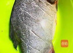 Illustration of how to make steamed Wuchang fish 1