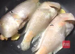 Chaoshan Pan-fried Parrotfish Recipe Illustration 3