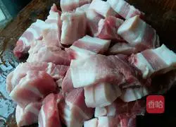 Braised Pork Recipe Illustration 5