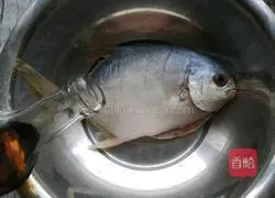 Illustration of how to cook silver pomfret with sauce 7