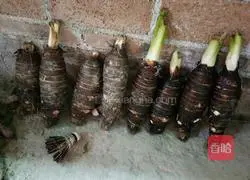 Illustration of how to cook taro 1