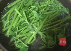 Old friend's water spinach Practice illustration 2