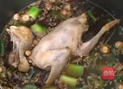 Illustration of braised pigeons 2