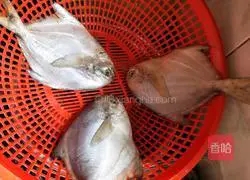 Illustration of how to make braised pomfret 1