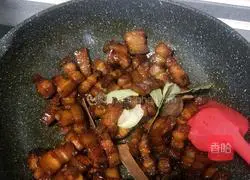 Braised Pork Recipe Illustration 13