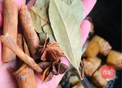 Braised Pork Recipe Illustration 10